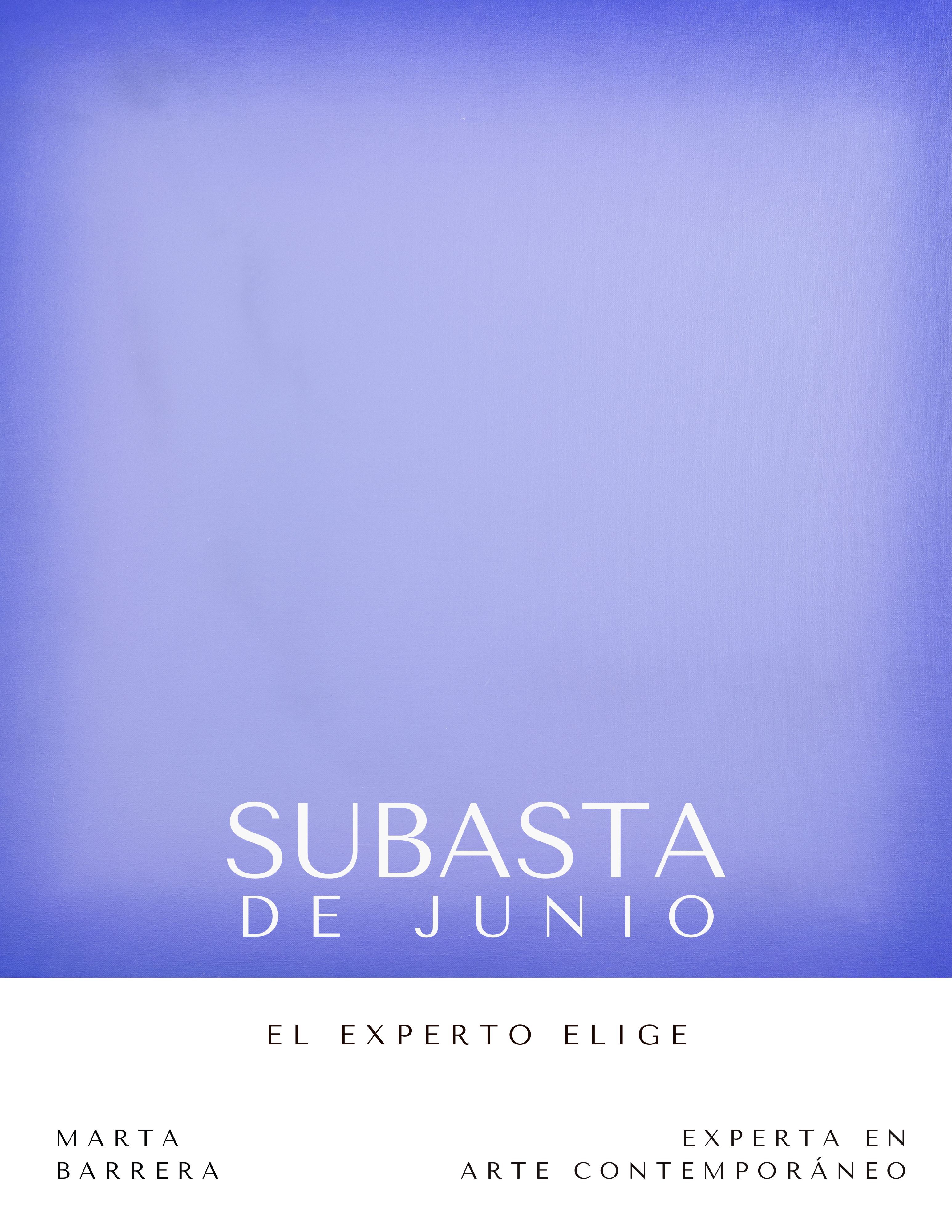 El experto elige... Arte Contemporáneo de la subasta de junio